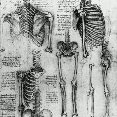 Osteopathic Manual Therapy